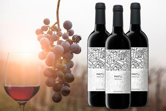 5 Kachel Monats-Hit 01.2026